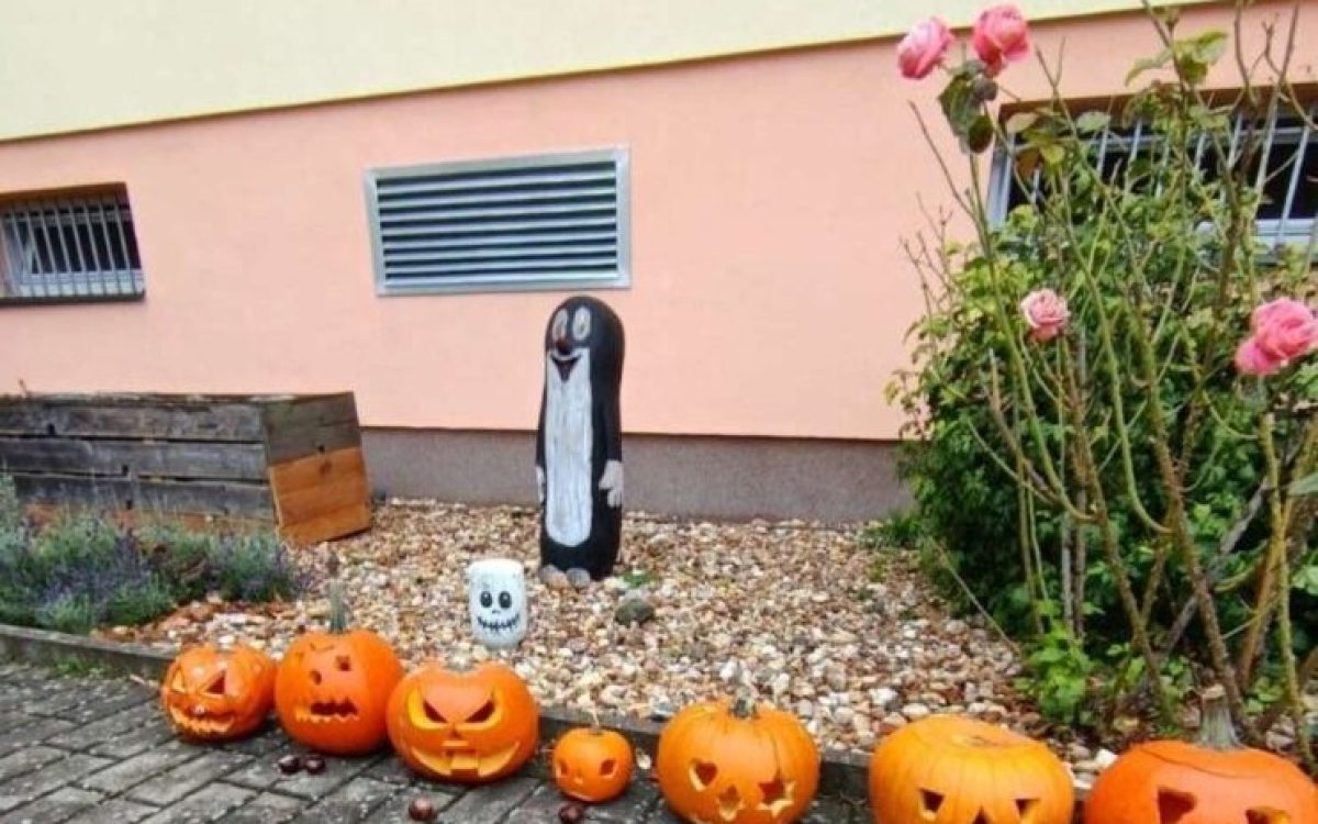 Společné dlabání dýní v MŠ 22.10. 2025